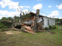 Damaged home and snapped tree near the town of Mount Vernon.  ~ 822 kb
